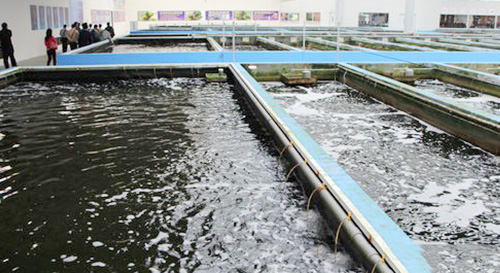 養殖水體改底